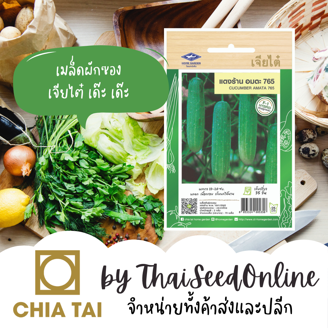 CTF1 เมล็ดพันธุ์ แตงร้านอมตะ3 ตราเจียไต๋ Cucumber Amata 3
