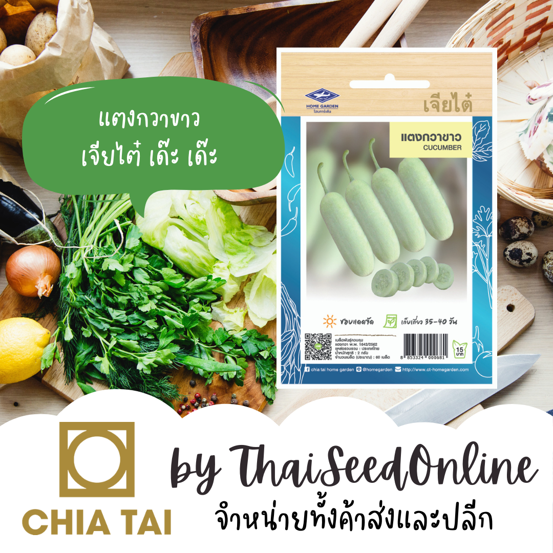 CTOP เมล็ดพันธุ์ แตงกวาขาว 60 เมล็ด ตราเจียไต๋ Cucumber