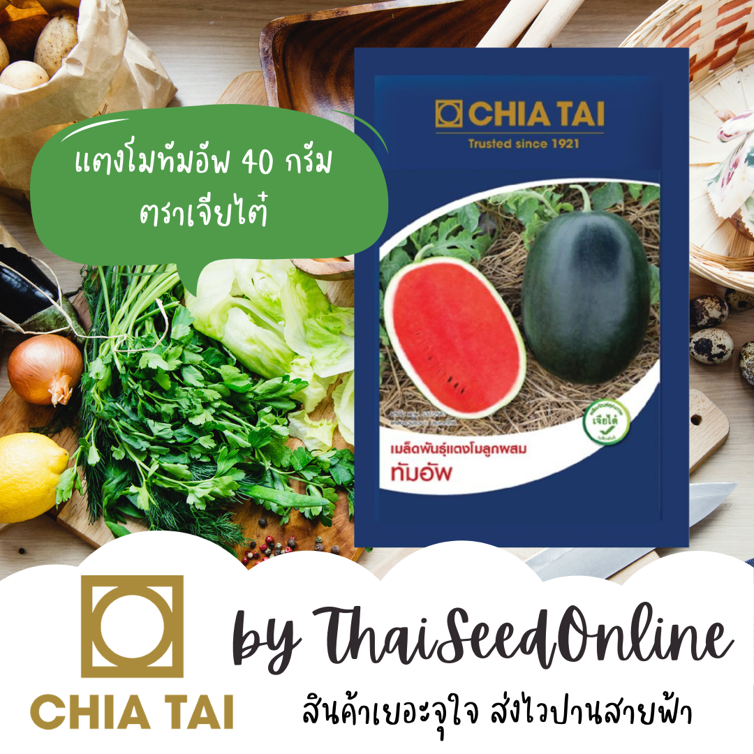 CTCOM 10/69 ซองใหญ่40กรัม เมล็ดพันธุ์ แตงโม ทัมอัพ 40 กรัม ตราเจียไต๋