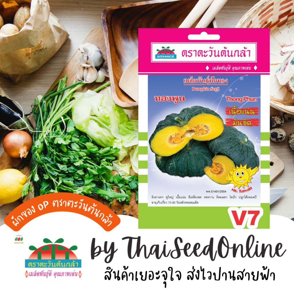 Advance Seeds(ตราตะวันต้นกล้า) ADVOP ซฟ เมล็ดพันธุ์ ฟักทอง ทองพูน ประมาณ 45 เมล็ด ตราตะวันต้นกล้า V7
