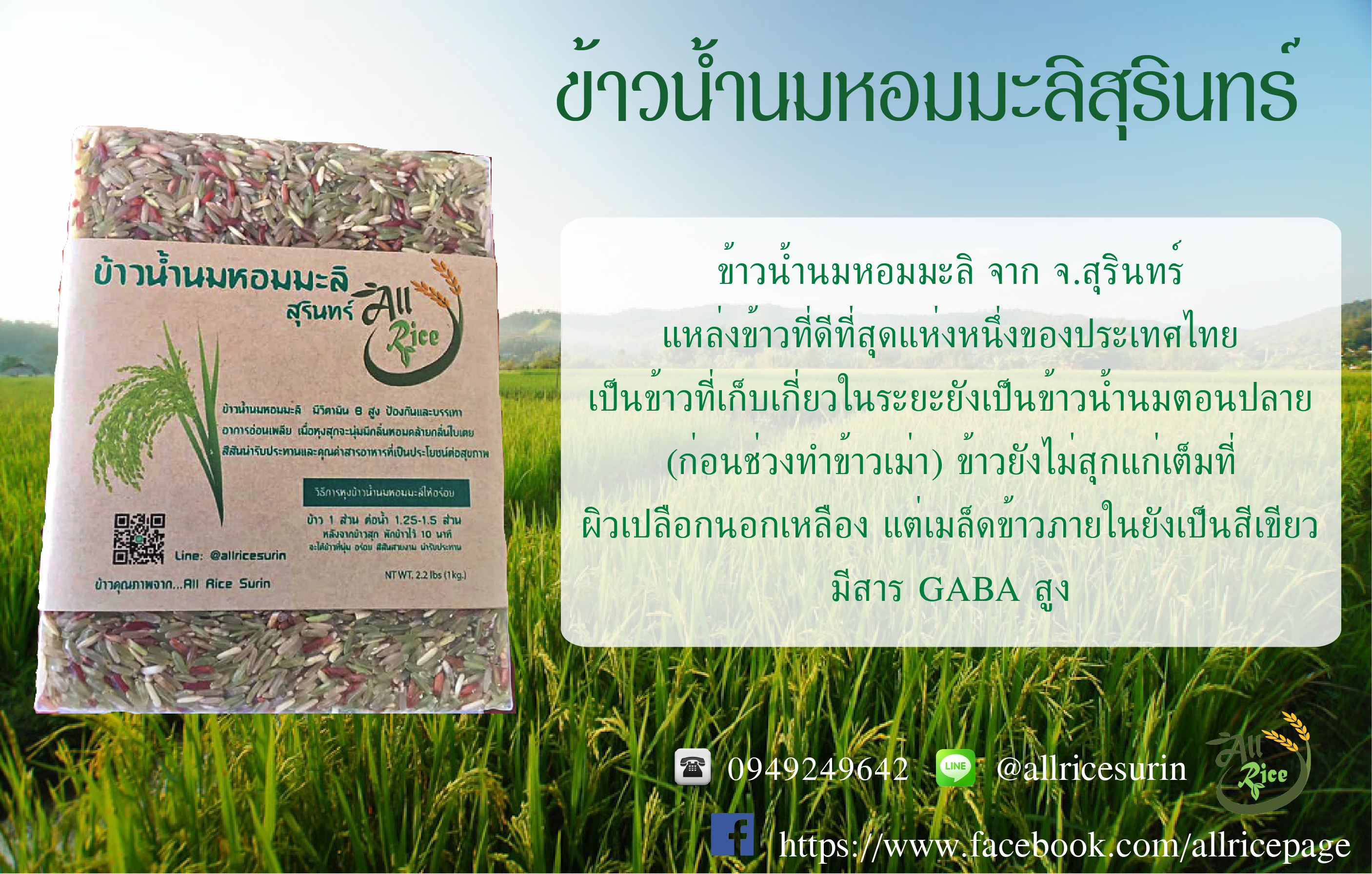 ข้าวน้ำนมหอมมะลิสุรินทร์ ขนาด 1 กก.
