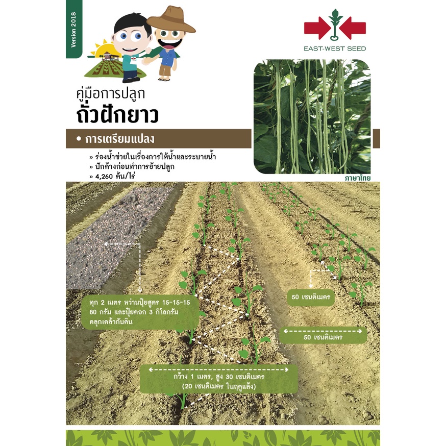 GGEW เมล็ดพันธุ์ ถั่วฝักยาวเขียวดก#5 100 เมล็ด ตราศรแดง Yard Long Bean