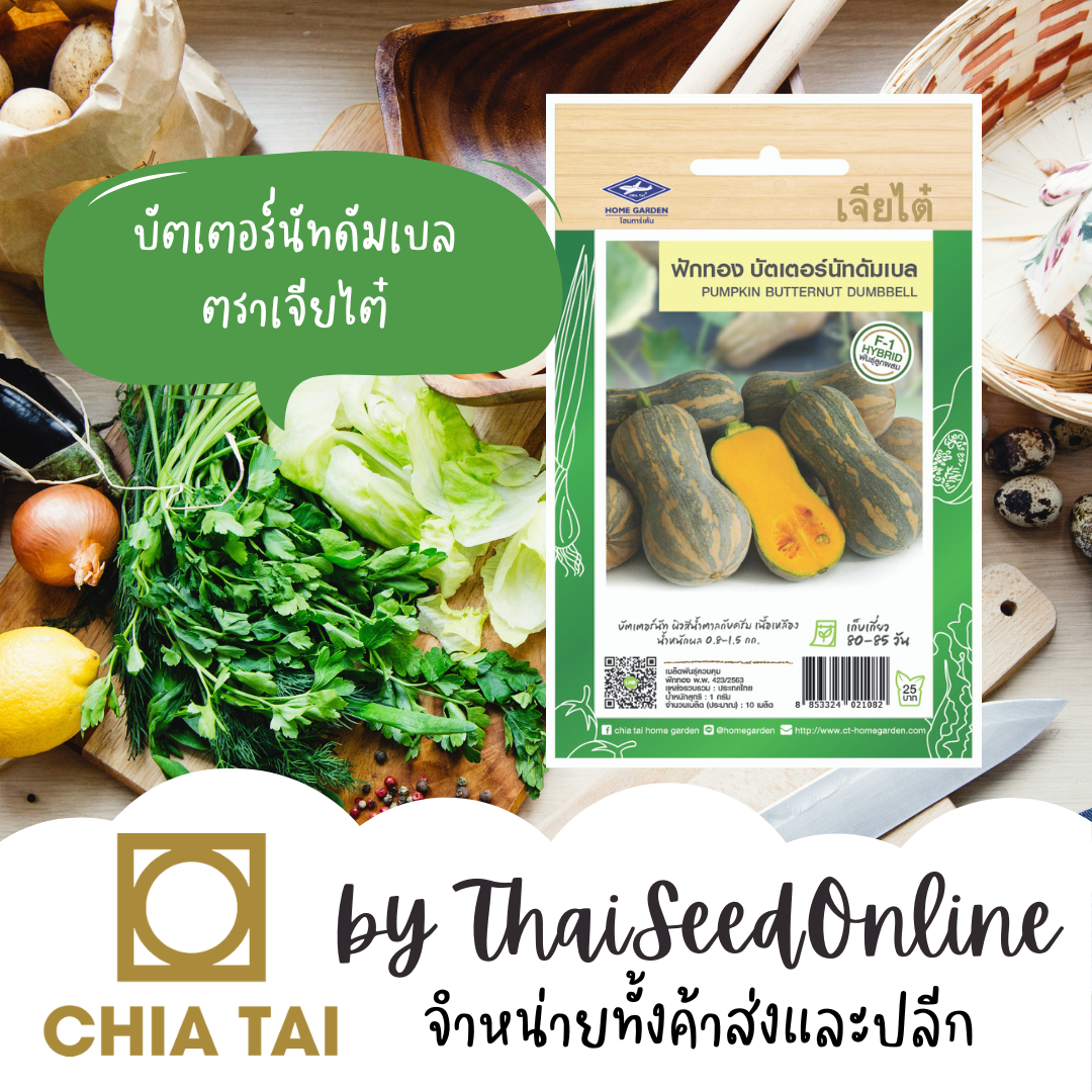 CTF1 เมล็ดพันธุ์ ฟักทอง บัตเตอร์นัท ดัมเบล ตราเจียไต๋