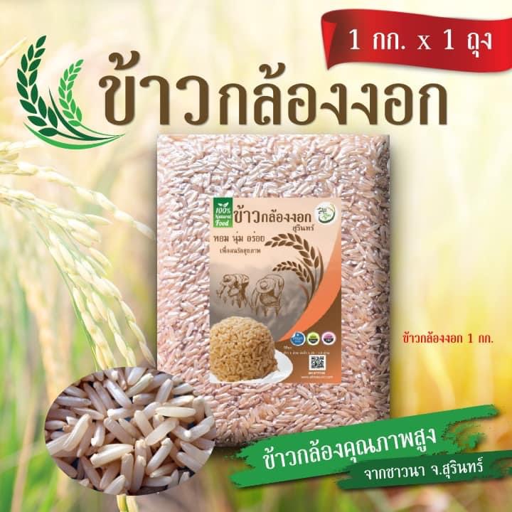 ข้าวกล้องงอก กาบ้าไรซ์ (GABA Rice)