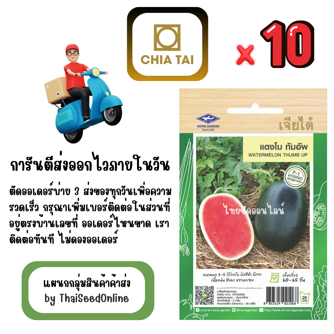 CTF1 x 10 เมล็ดผักซองเจียไต๋ แตงโม ทัมอัพ สินค้ายกแพ็ค
