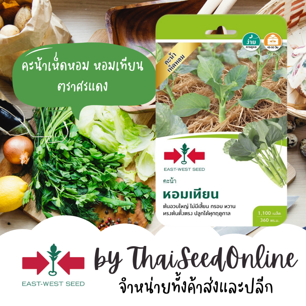 Sorndang(ศรแดง) GGEW เมล็ดพันธุ์ คะน้าเห็ดหอม หอมเทียน ตราศรแดง Kale
