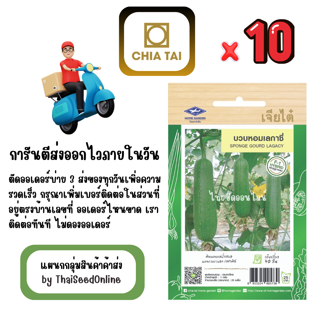 CTF1 x 10 เมล็ดผักซองเจียไต๋ บวบหอม เลกาซี่ สินค้ายกแพ็ค