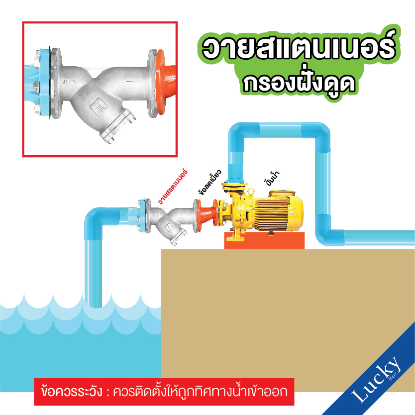 Y Strainer วายสแตนเนอร์ สแตนเลส ขนาด 6 นิ้ว แบบหน้าแปลน 10K
