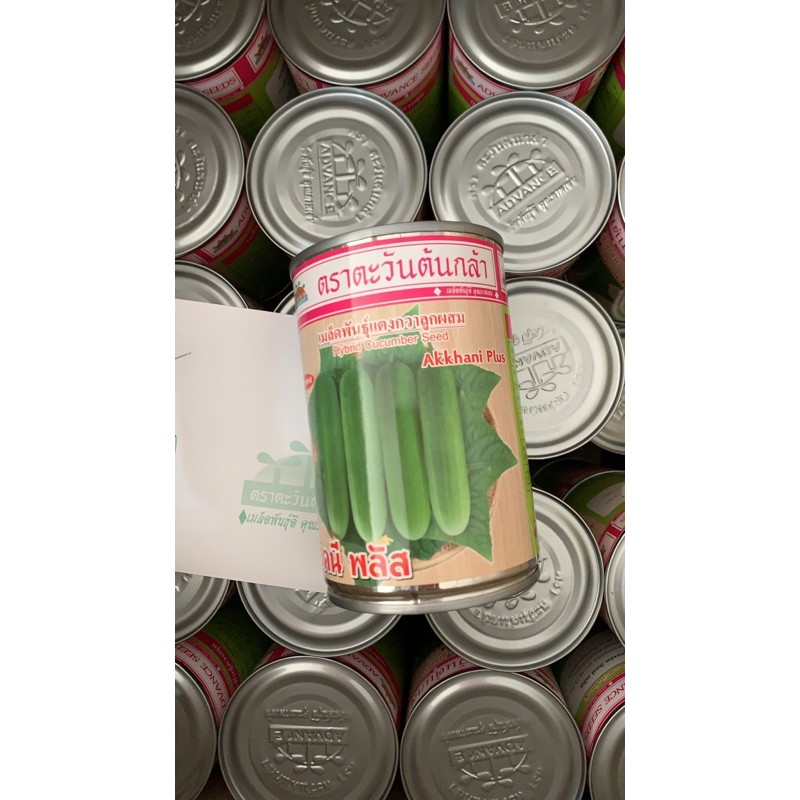 ADV กป 20กรัม เมล็ดพันธุ์ แตงกวาลูกผสม อัคนีพลัส20กรัม ตราตะวันต้นกล้า แตงกวาอัคนี