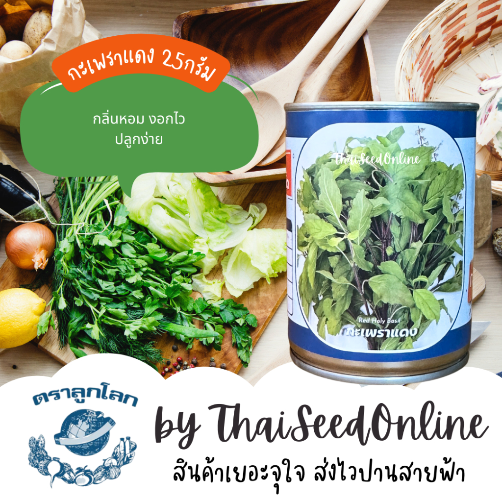 Juijia(จุยเจีย) NTC เมล็ดพันธุ์ กป กะเพราแดง ใบใหญ่ 25 กรัม ตราลูกโลก ใบใหญ่ หอม