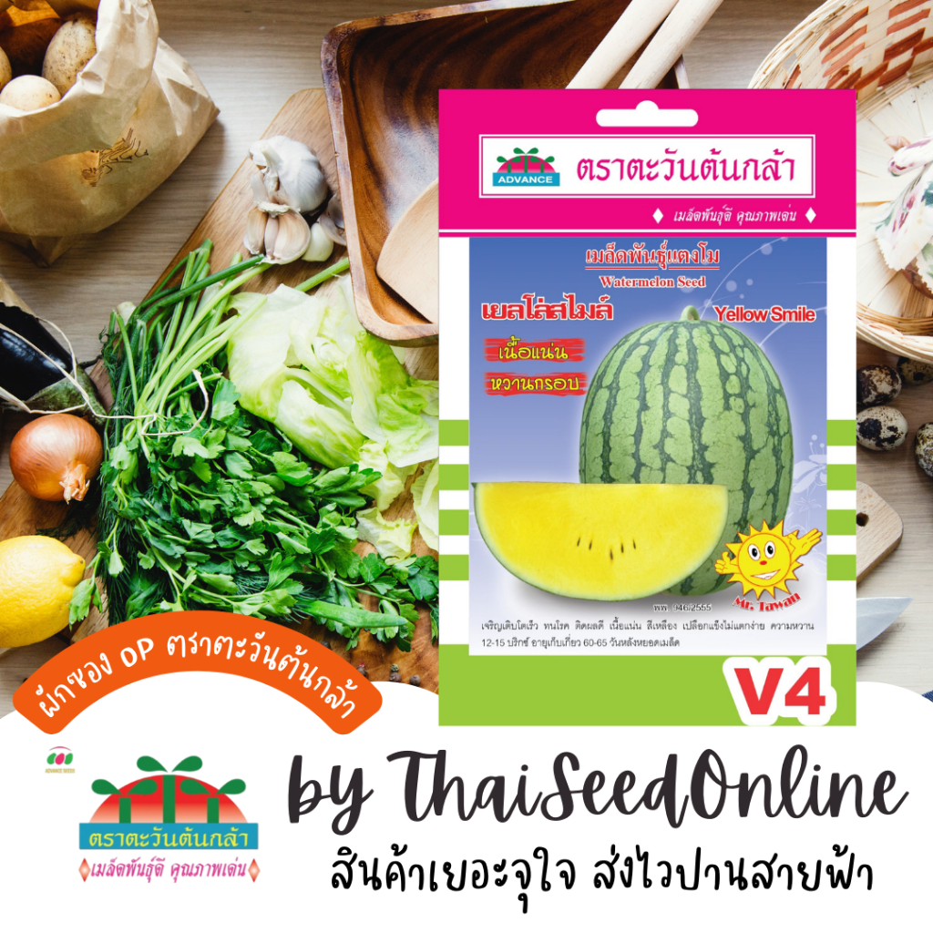 Advance Seeds(ตราตะวันต้นกล้า) ADVOP ซฟ เมล็ดพันธุ์ แตงโมเยลโล่สไมล์ แตงโมเหลือง ตราตะวันต้นกล้า V4
