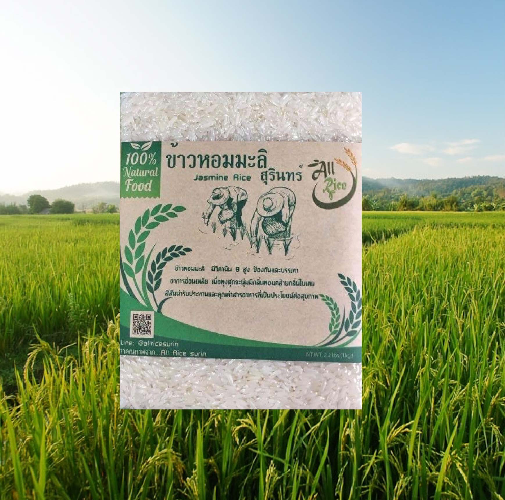 ข้าวหอมมะลิสุรินทร์100% 1 กิโลกรัม