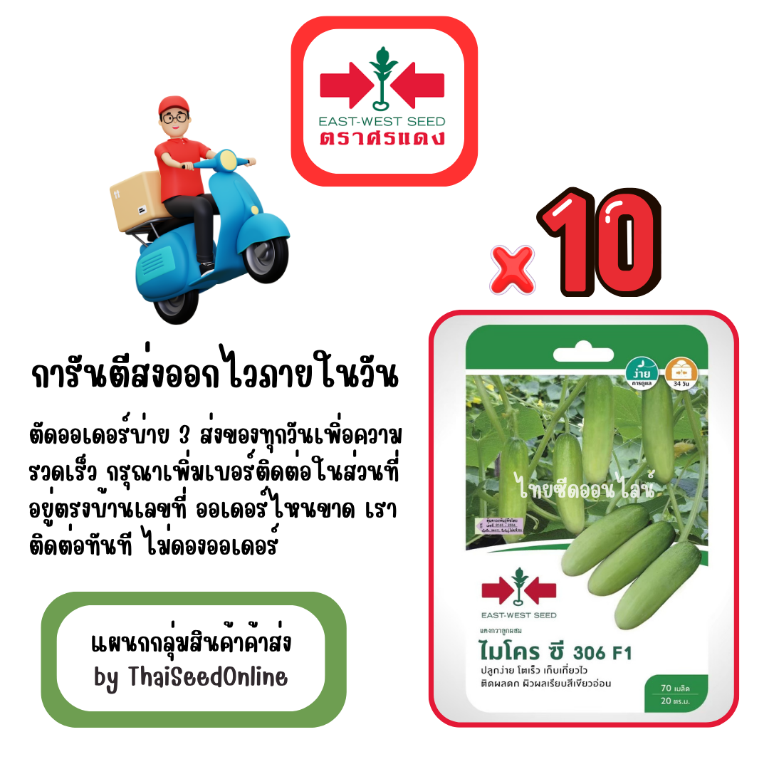 GGx10 เมล็ดผักซองศรแดง ไมโครซี306 แตงกวา สินค้ายกแพ็ค