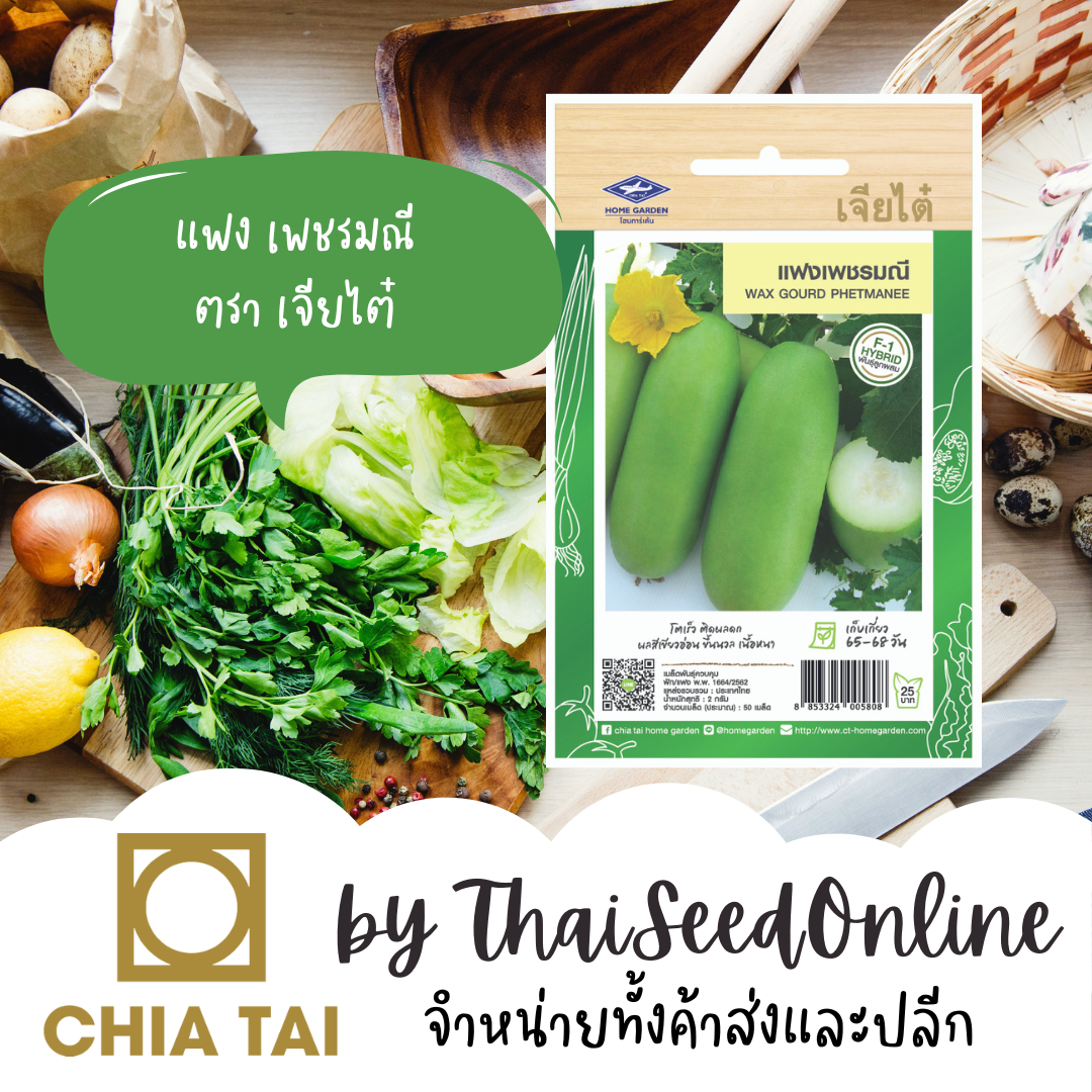 CTF1 เมล็ดพันธุ์ แฟง เพชรมณี ตราเจียไต๋ แฟงไส้ตัน Wax Gourd