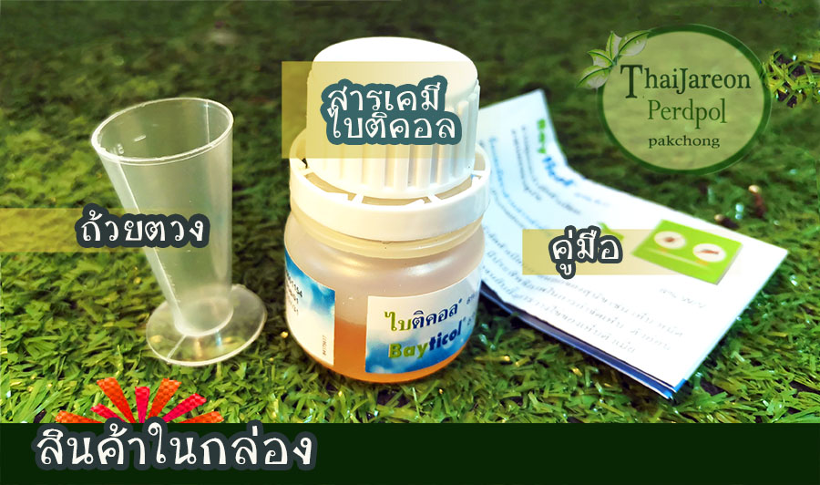 ขายคู่สุดคุ้ม อุปกรณ์ฉีด ฟ้อกกี้ ยากำจัดเห็บหมัด ควบคุมและกำจัดเห็บ หมัด สุนัข ไบติคอล 6% Bayticol ขนาด 10 ซีซี