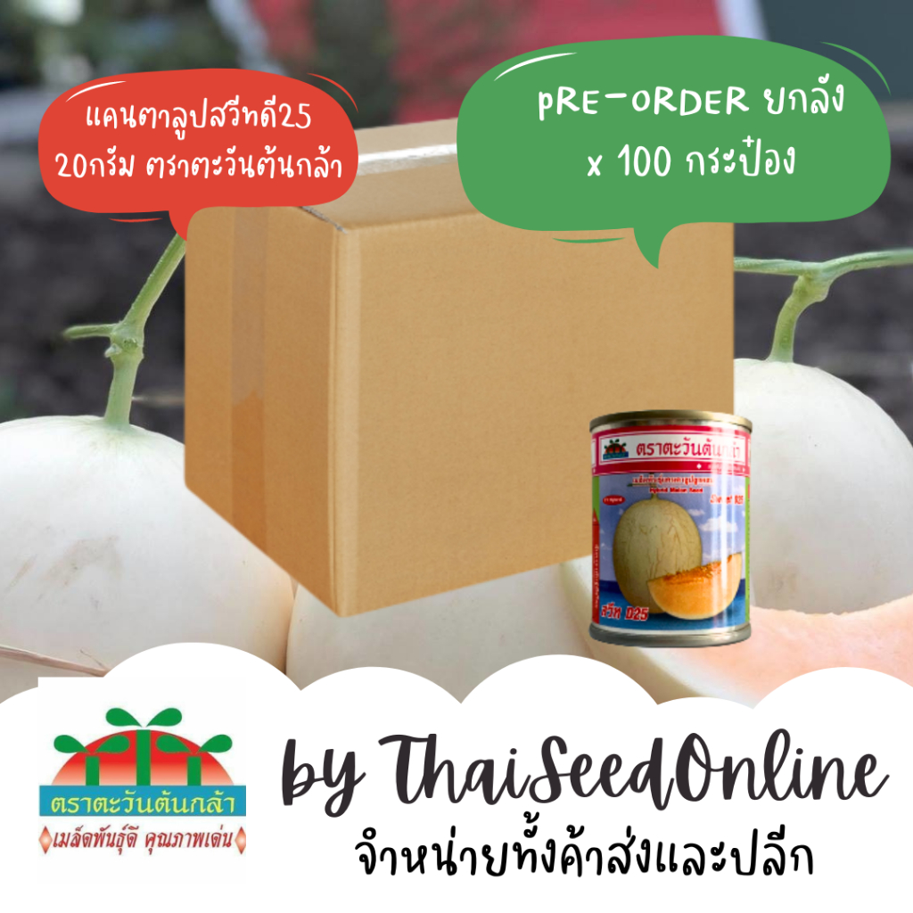 Advance Seeds(ตราตะวันต้นกล้า) ส่งฟรี ยกลัง เมล็ดพันธุ์ ราคาส่ง แคนตาลูป สวีทดี25 20กรัม 100 กระป๋อง SweetD25 ตราตะวันต้นกล้า