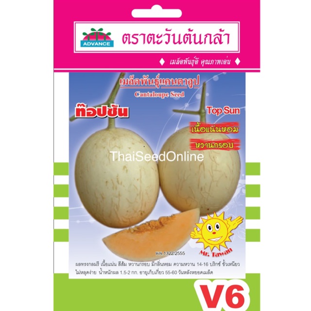 Advance Seeds(ตราตะวันต้นกล้า) ADVOP ซฟ เมล็ดพันธุ์ แคนตาลูปท็อปซัน ตราตะวันต้นกล้า V6