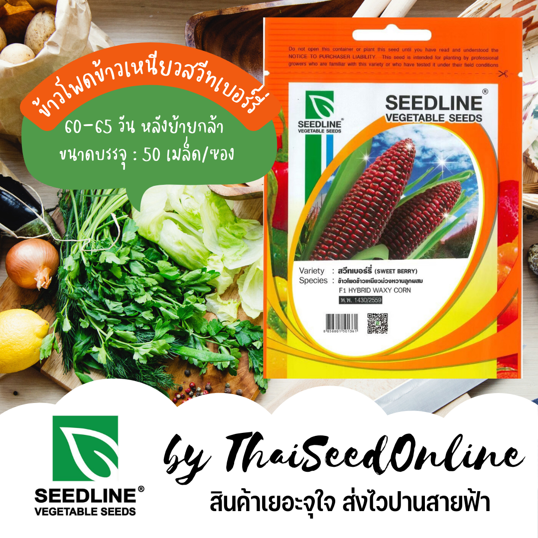 SL เมล็ดพันธุ์ซองเล็ก เมล็ดพันธุ์ ข้าวโพดข้าวเหนียวสวีทเบอร์รี่ ตราซีดไลน์ Waxy Corn Sweet Purple
