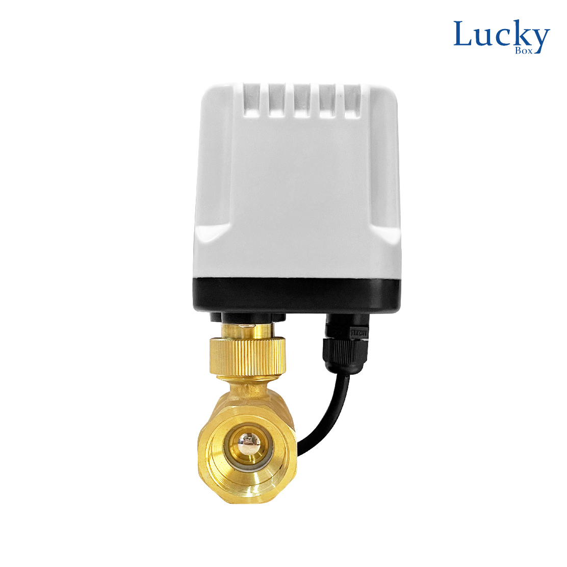 Motor Valve มอเตอร์วาล์วไฟฟ้า ขนาด 4 หุน DC12-24V