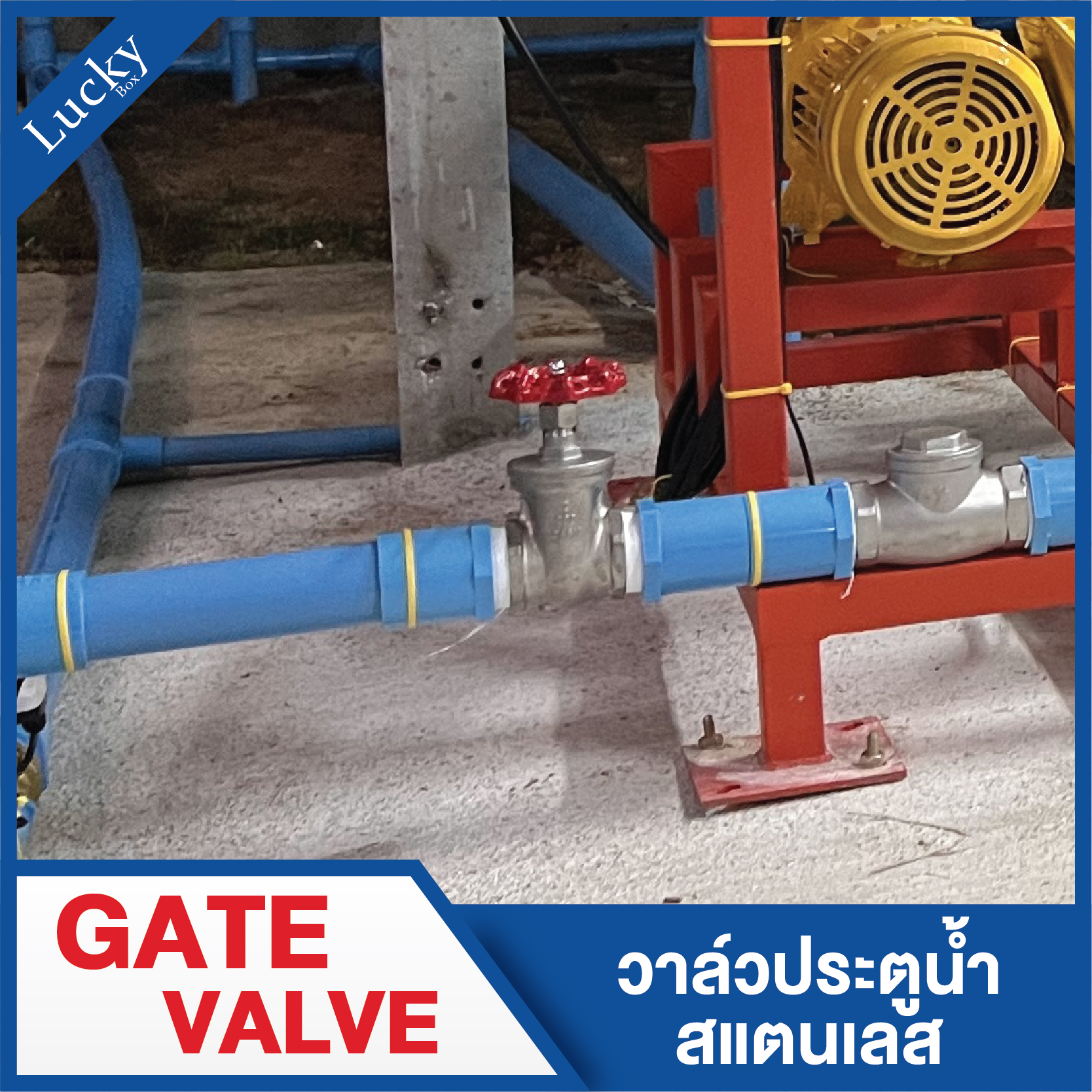 Gate valve (เกทวาล์ว) วาล์วประตูน้ำสแตนเลส ขนาด 2 นิ้ว