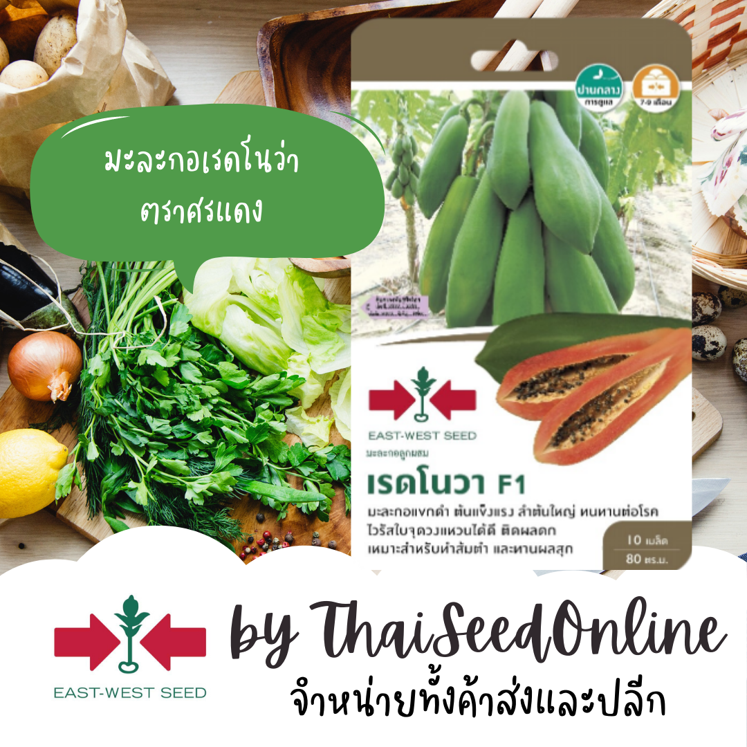 GGEW เมล็ดพันธุ์ซฟ มะละกอลูกผสมเรดโนว่า ตราศรแดง PAPAYA RED NOVA