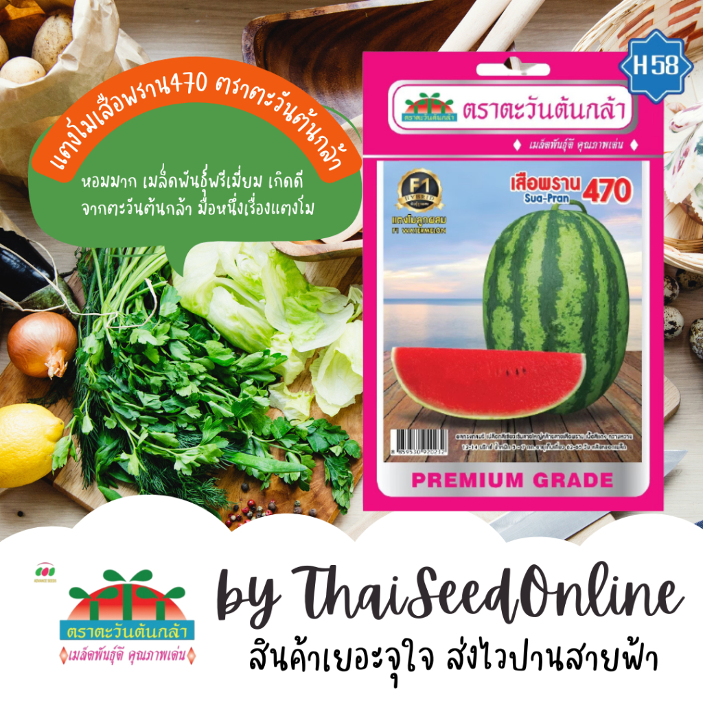 Advance Seeds(ตราตะวันต้นกล้า) ADVF1 ซฟ เมล็ดพันธุ์แตงโม เสือพราน470 ตราตะวันต้นกล้า H58