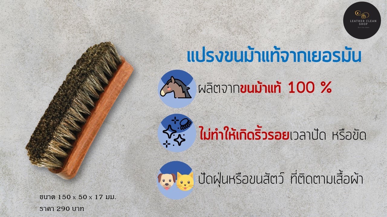แปรงขนม้า แท้จากเยอรมัน Horse Hair Brush Made in Germany