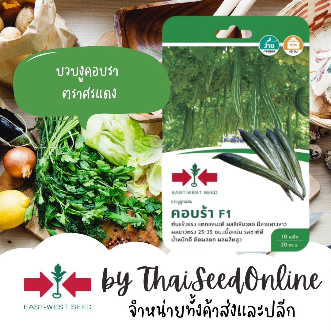 GGEW เมล็ดพันธุ์ซฟ บวบงูลูกผสมคอบร้า 10เมล็ด ตราศรแดง บวบคอบรา
