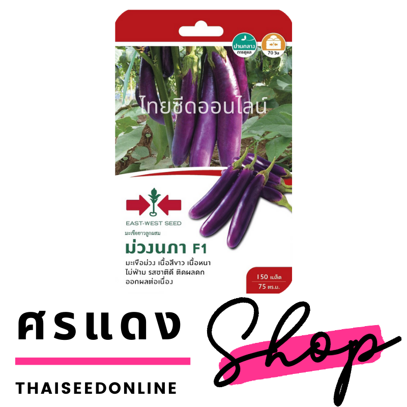 GGEW เมล็ดพันธุ์ซฟ มะเขือยาวม่วง ม่วงนภา ตราศรแดง Eggplant