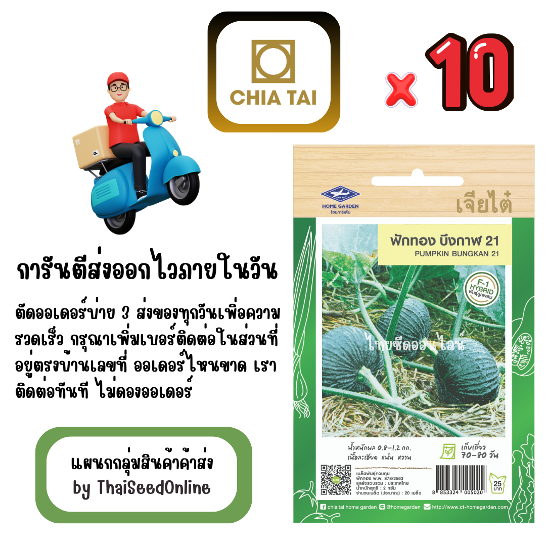 CTF1 x 10 เมล็ดผักซองเจียไต๋ ฟักทอง อ่อน บึงกาฬ 21 สินค้ายกแพ็ค