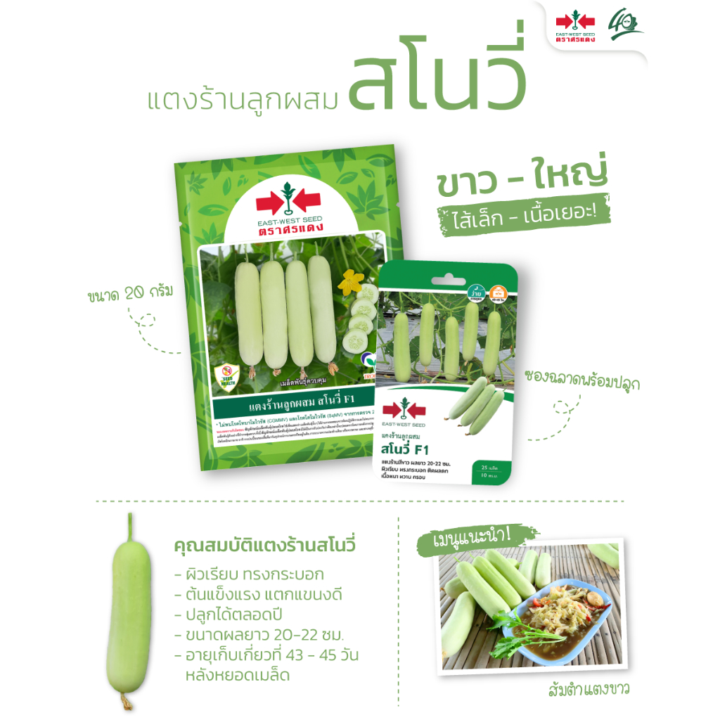 ตราศรแดง EWCOM เมล็ดพันธุ์ แตงร้านสีขาว สโนวี่ 20กรัม ตราศรแดง แตงร้านขาว แตงขาว Cucumber