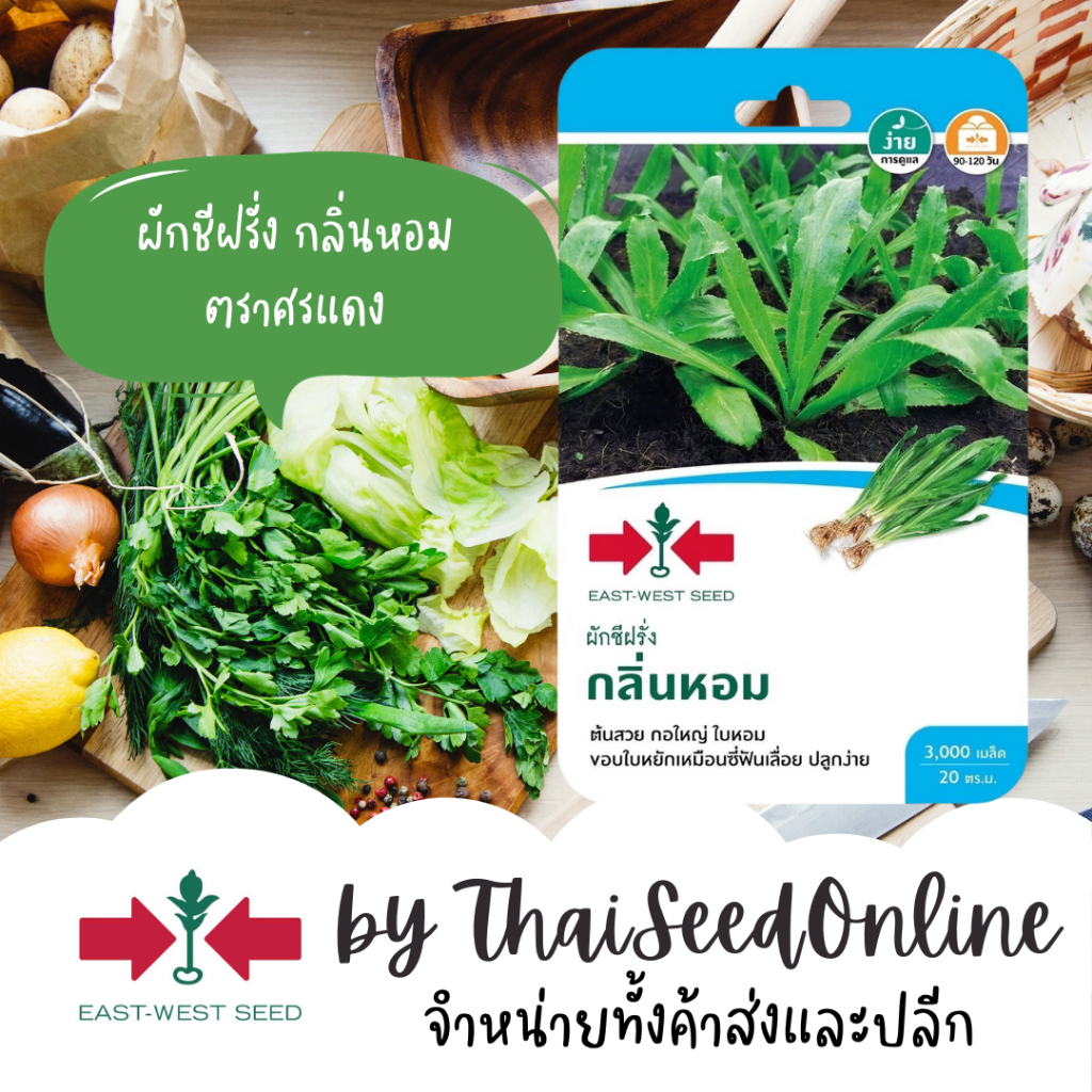 Sorndang(ศรแดง) GGEW เมล็ดพันธุ์ผักชีฝรั่งกลิ่นหอม 3000เมล็ด ตราศรแดง Thai Parsley