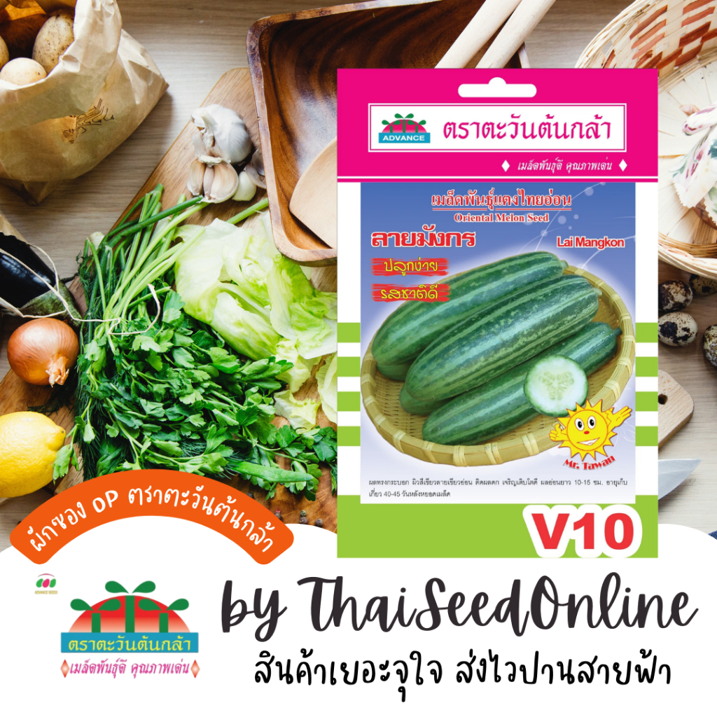 Advance Seeds(ตราตะวันต้นกล้า) ADVOP ซฟ เมล็ดพันธุ์ แตงไทยอ่อน ลายมังกร ตราตะวันต้นกล้า V10