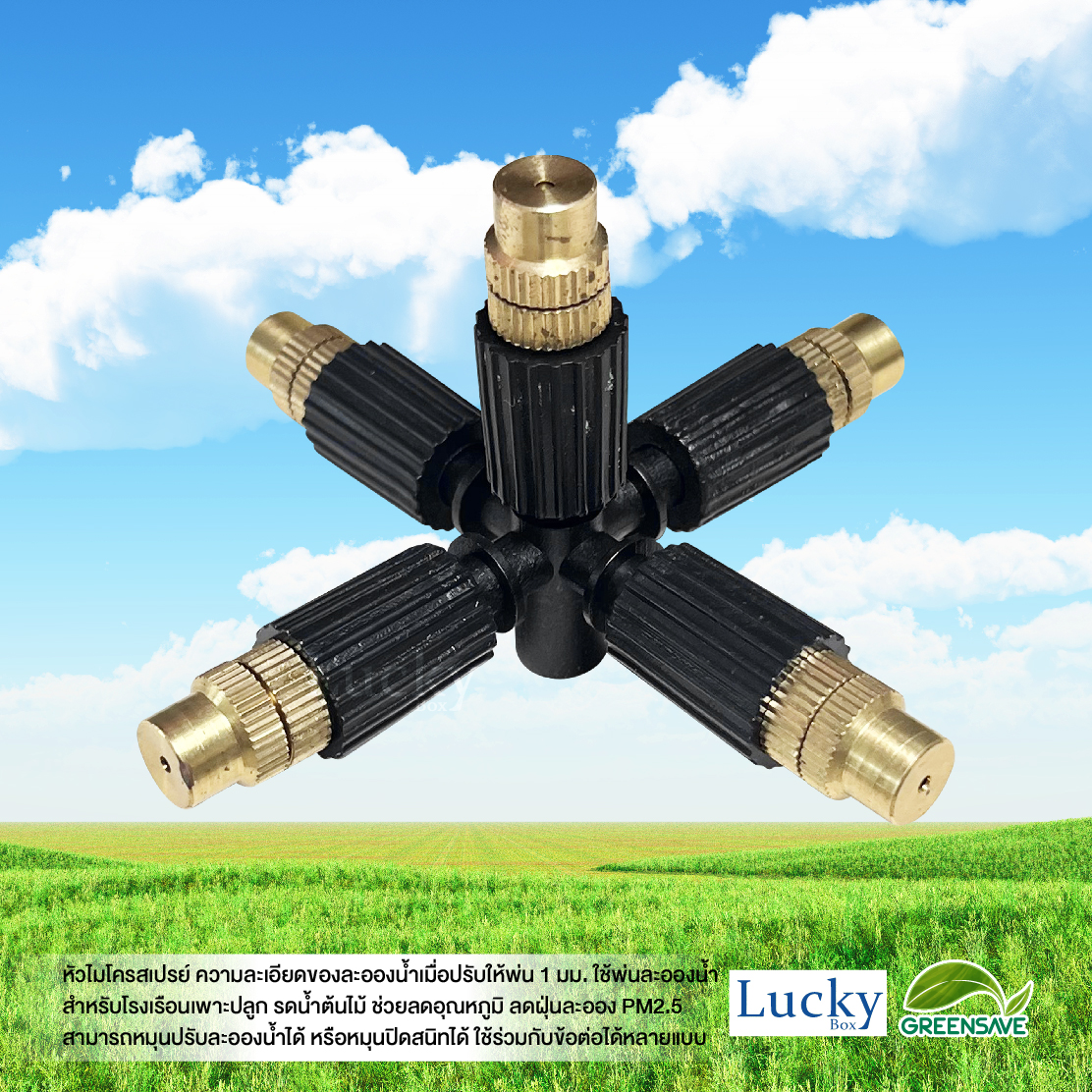 หัวไมโครสเปรย์ ทองเหลือง 5 ทาง ความละเอียด 1 มม. (แพ็ค 20 ชิ้น)