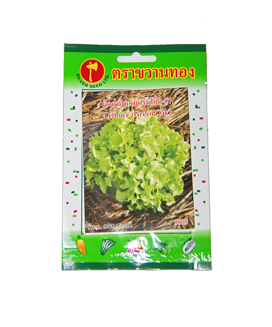 เมล็ดผักสลัด salad lattice vegetable ขนาด 1 กรัม