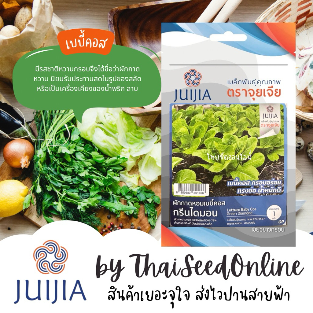 Juijia(จุยเจีย) Juijia(จุยเจีย) JJ เมล็ดพันธุ์ จุยเจีย เบบี้คอส มินิคอส ตราจุยเจีย Red Cos Lettuce