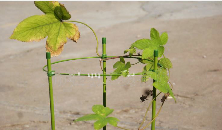 ค้างไม้เลื้อย ไม้กระถาง ลวดล้อมไม้