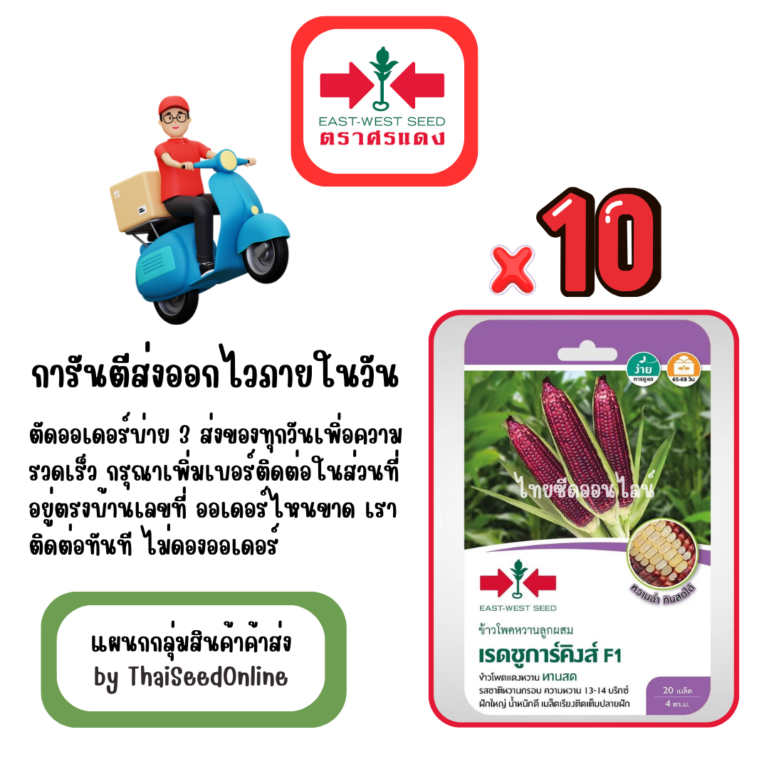 GGx10 เมล็ดผักซองศรแดง เรดชูการ์คิงส์ ข้าวโพด กินดิบ ทานสด สินค้ายกแพ็ค