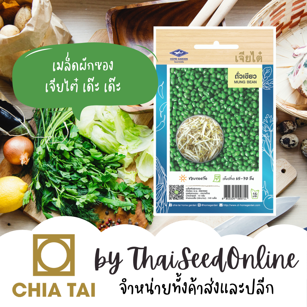 CTOP เมล็ดพันธุ์ ถั่วงอก ถั่วเขียว ตราเจียไต๋ Mung Bean