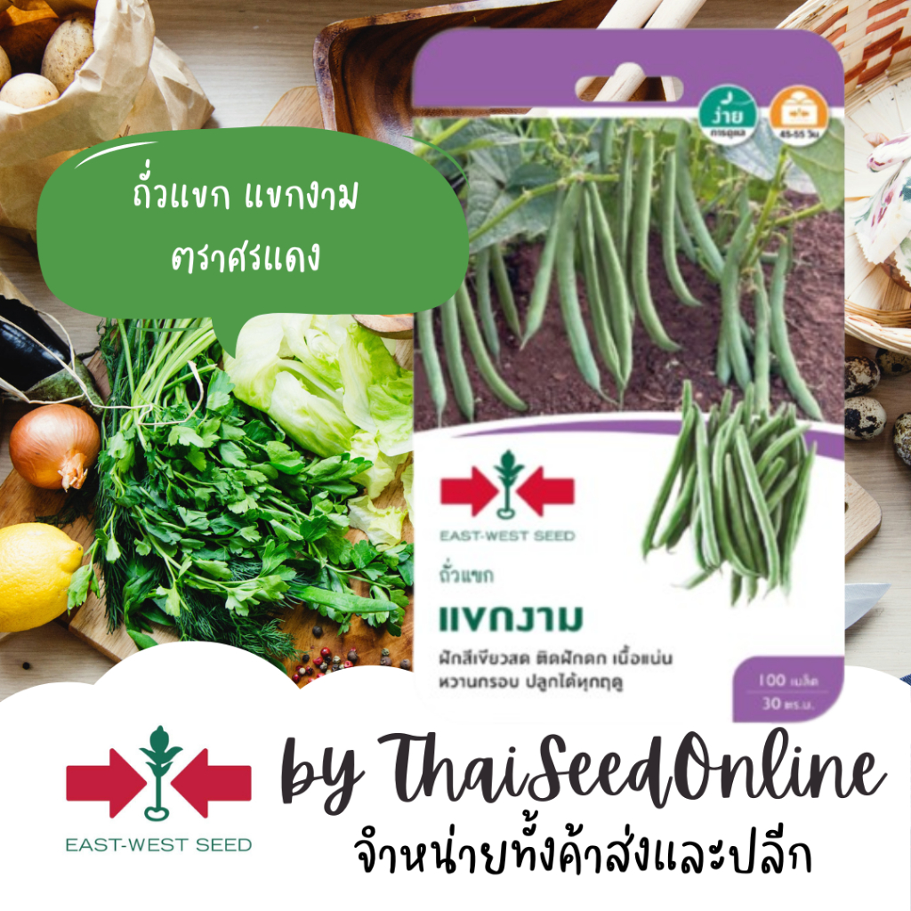 ตราศรแดง GGEW เมล็ดพันธุ์ ถั่วแขก แขกงาม 100เมล็ด ตราศรแดง Bush Bean