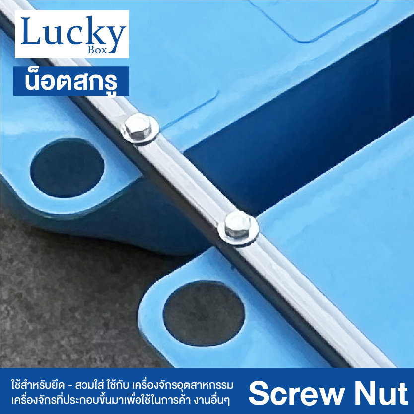 น็อต+สกรู+2แหวน SCREW NUT ขนาด 1/2x2-1/2" (4 หุน ยาว 2.5 นิ้ว)