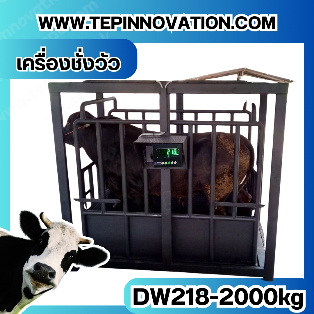 เครื่องชั่งวัวแบบกรง เครื่องชั่งวัว2000kg เครื่องชั่งสัตว์2ตัน เครื่องชั่งกรงสัตว์ เครื่องชั่งน้ำหนัก2000kg ตาชั่งวัว2ตัน ตาชั่งน้ำหนักวัว เครื่องชั่งวัวแบบดิจิตอล เครื่องชั่งยี่ห้อ Dynaweight รุ่น DW218