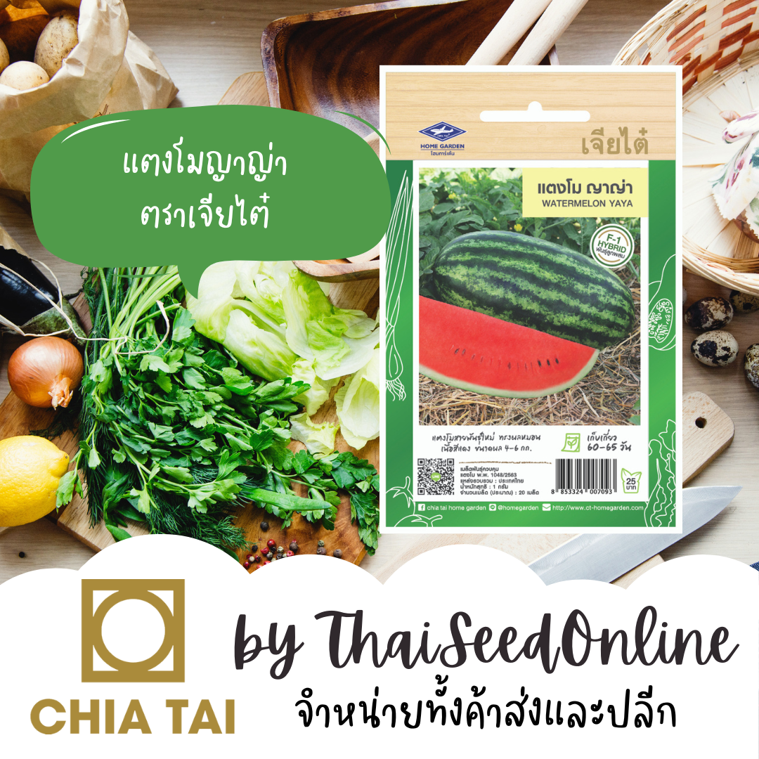 CTF1 เมล็ดพันธุ์ แตงโมญาญ่า ตอปิโด 20 เมล็ด ตราเจียไต๋ Watermelon Yaya