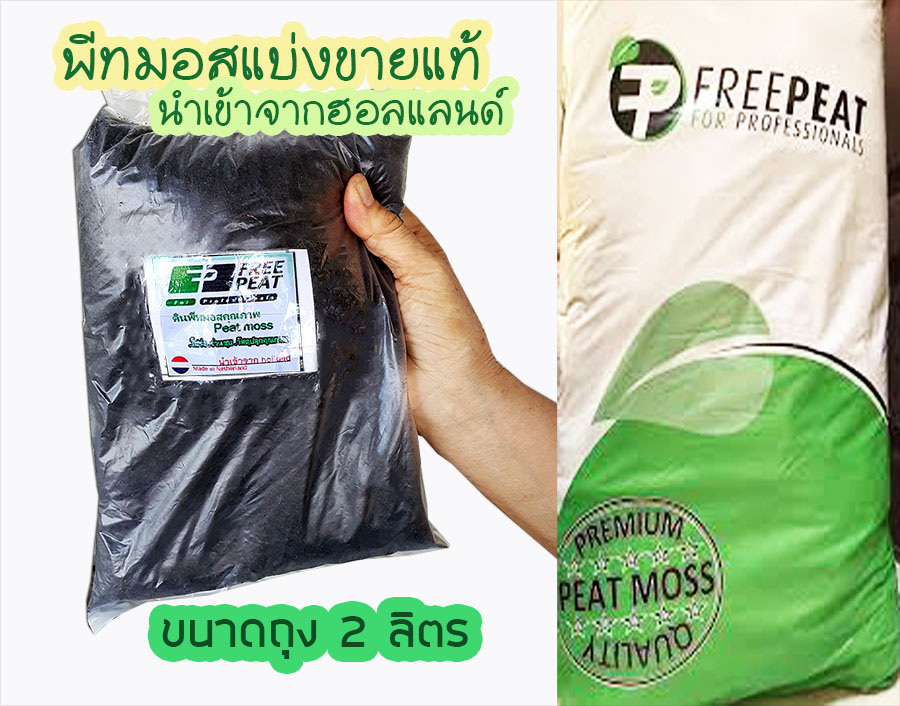 พีชมอส พีทมอส Peat moss วัสดุปลูก