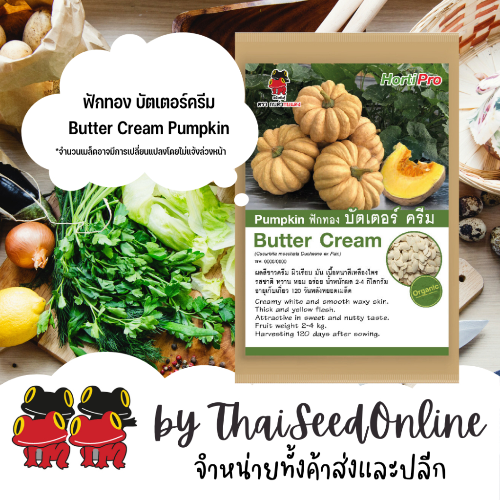 AGA Horti Pro(เอกะฮอร์ติโปร) AGA ซฟ เมล็ดพันธุ์ ฟักทอง บัตเตอร์ครีม 40 เมล็ด ตรากบดำกบแดง Butter Cream Pumpkin ฟักทองไข่ ฟักทองลืมผัว