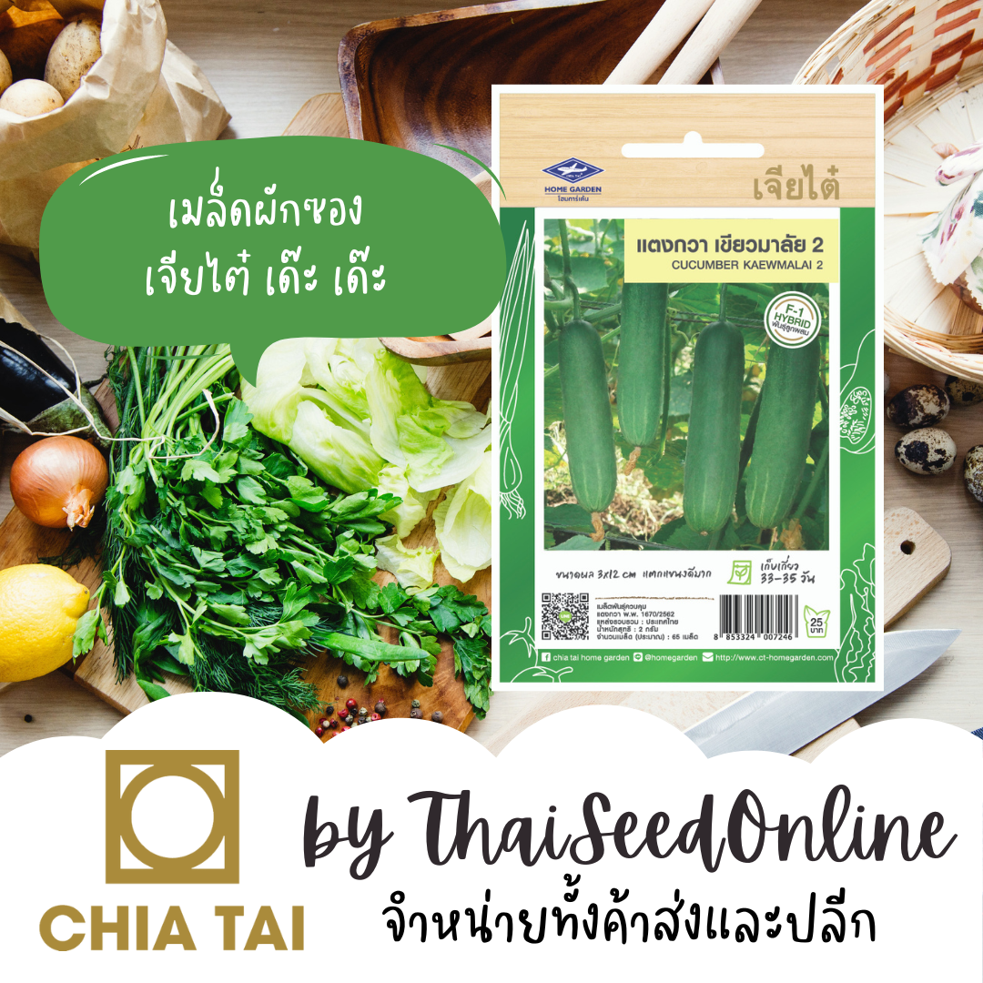 CTF1 เมล็ดพันธุ์ แตงกวา เขียวมาลัย2 ตราเจียไต๋ Cucumber