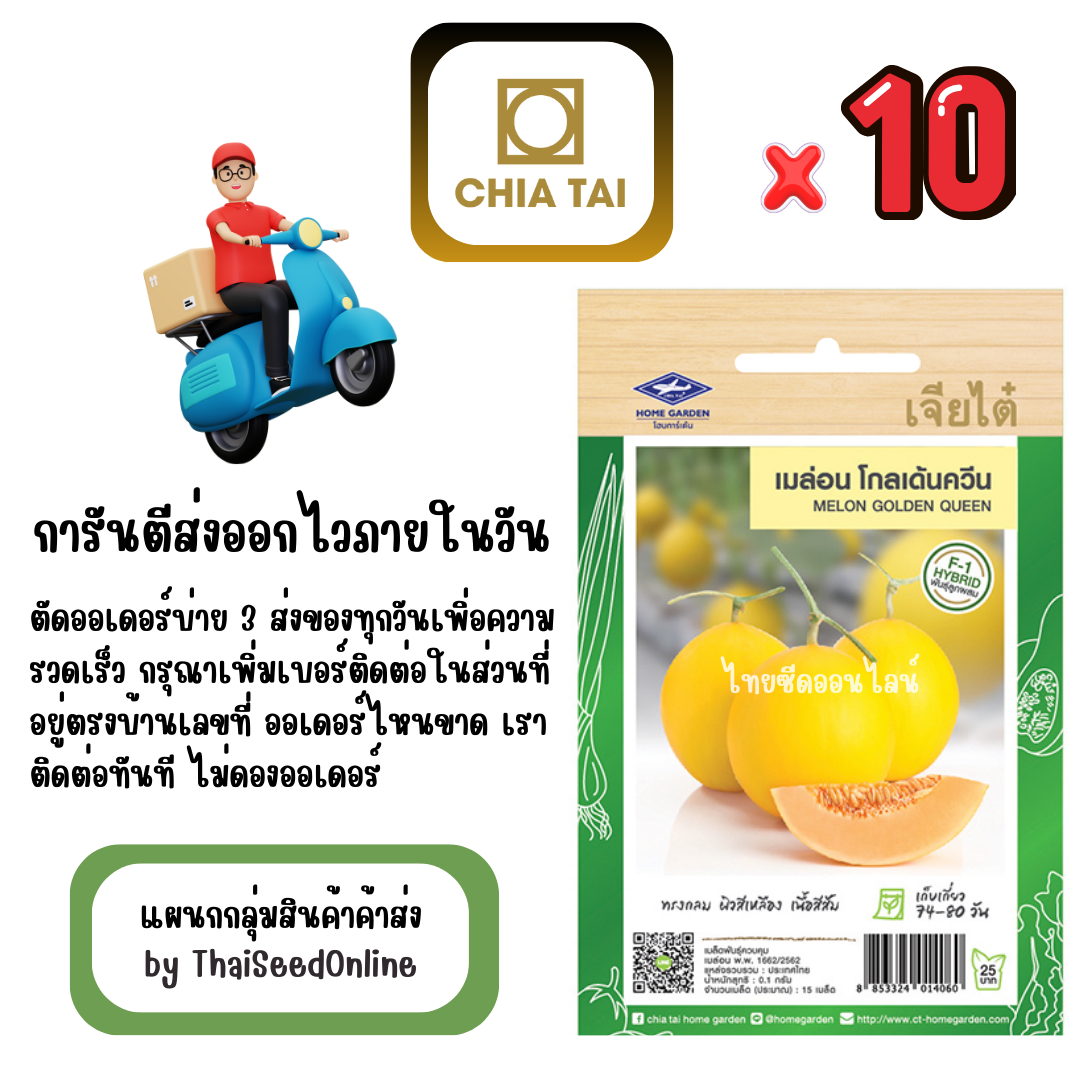 CTF1 x 10 เมล็ดผักซองเจียไต๋ เมล่อน โกลเด้นควีน สินค้ายกแพ็ค