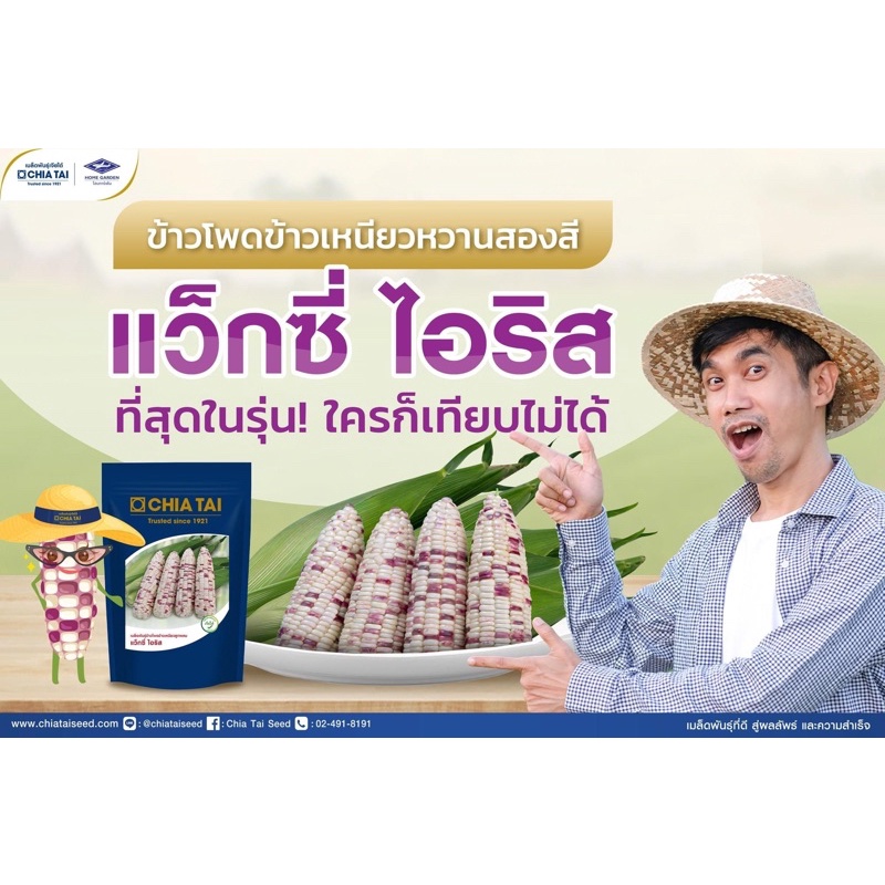 Chia Tai(เจียไต๋) CTCOM 1 กก. ข้าวโพดข้าวเหนียวแว็กซี่ ไอริส ตราเจียไต๋