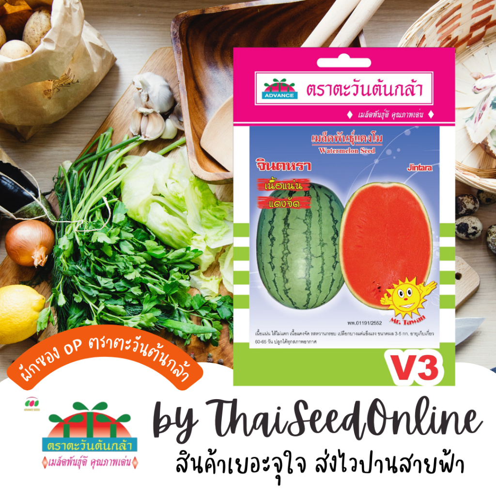 Advance Seeds(ตราตะวันต้นกล้า) ADVOP ซฟ เมล็ดพันธุ์ แตงโมจินตรา ประมาณ 25 เมล็ด ตราตะวันต้นกล้า V3