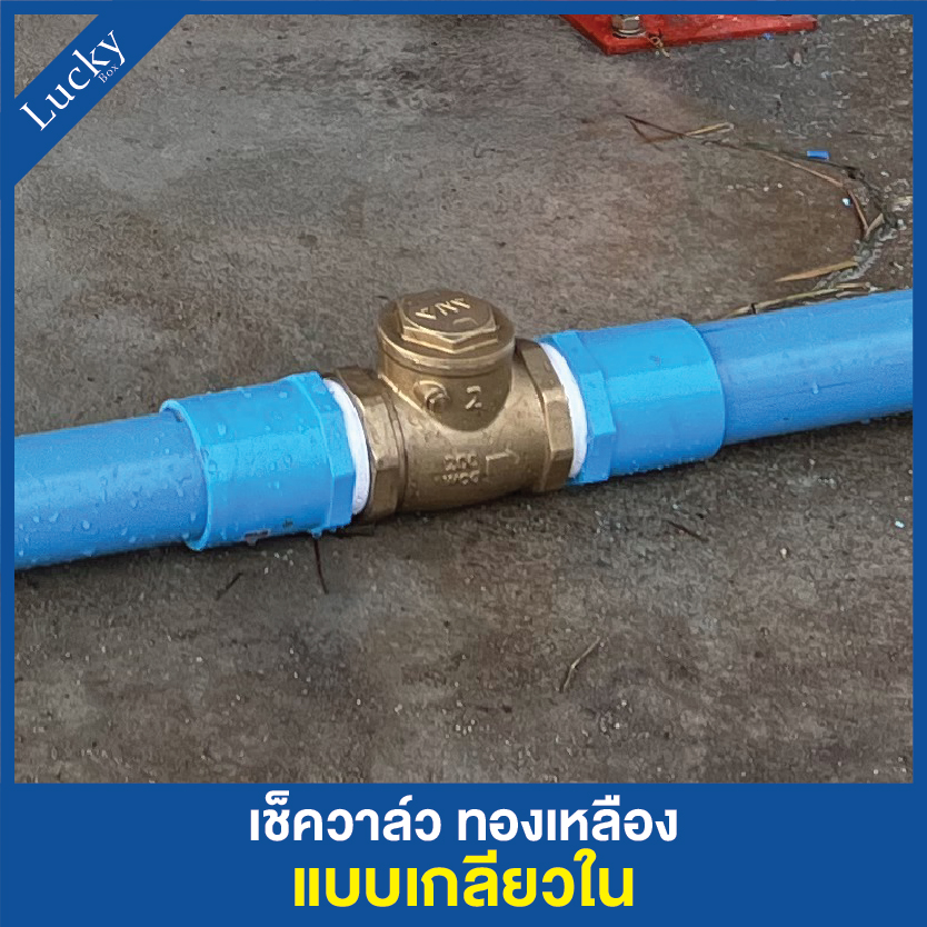 Check Valve เช็ควาล์ว ทองเหลือง แบบบานสวิงแนวนอน ขนาด 1 นิ้ว